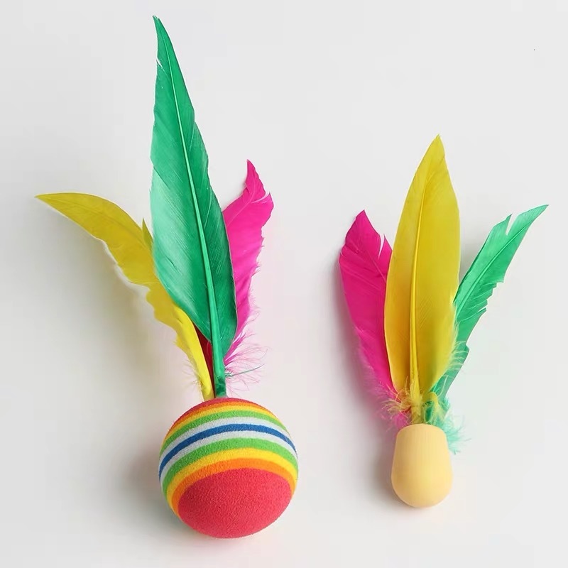 Jazzminton Outdoor Badminton B - Badminton Game review and price