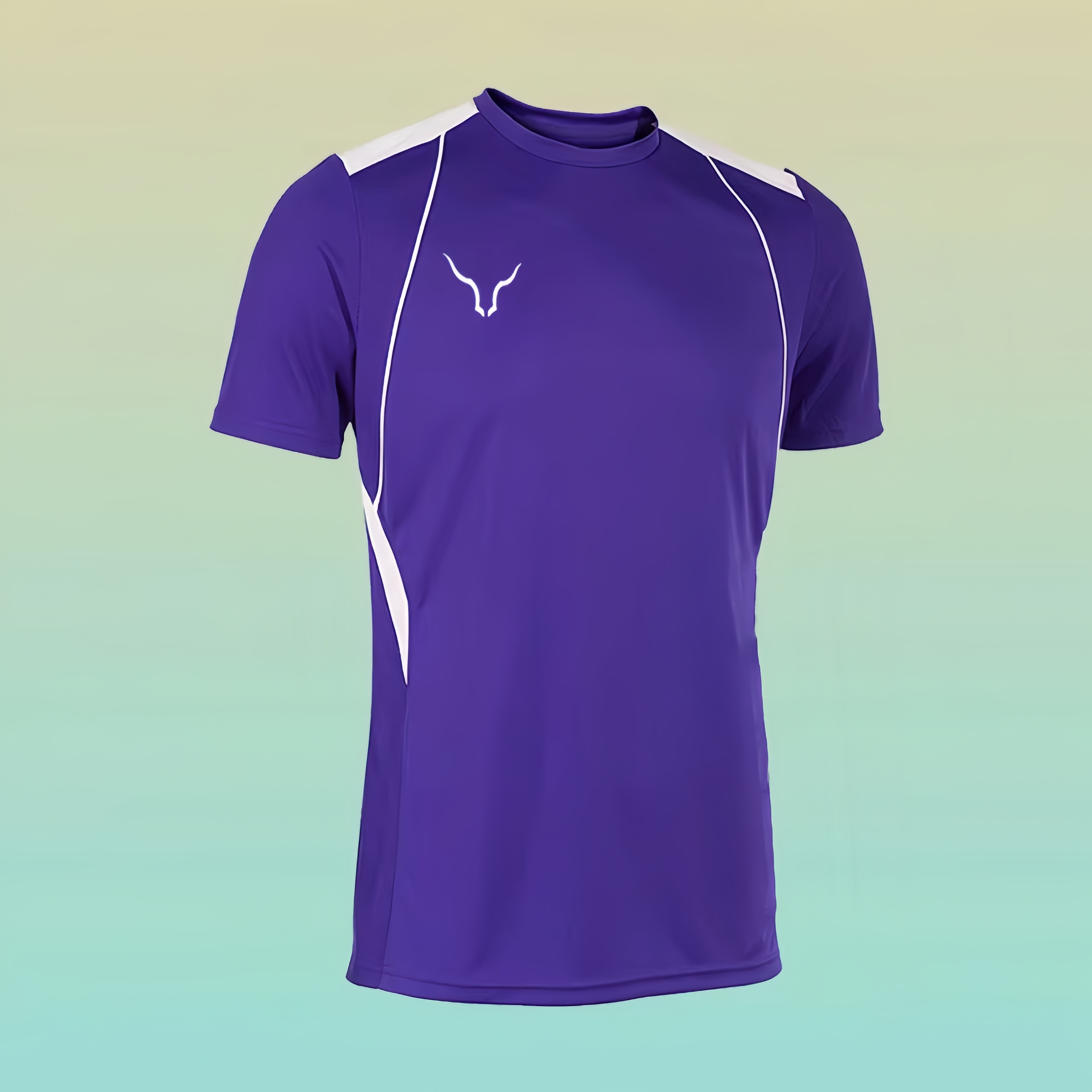 Outdoor Badminton Tennis Sport - Badminton Lovers review and price